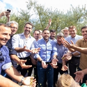 Foto mostra o governador Eduardo Leite e o vice-governador Gabriel Souza com outras autoridades e produtores. Eles est&atilde;o em frente a oliveiras. Todos jogam olivas verdes para cima em celebra&ccedil;&atilde;o &agrave; colheita.