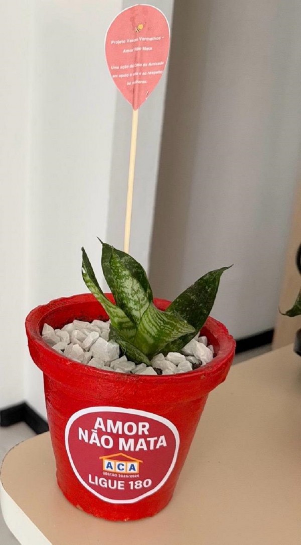 Vaso de cerâmica pintado de vermelho, contendo uma planta ornamental de folhas verdes. Na frente do vaso há um adesivo com a mensagem “AMOR NÃO MATA – DENUNCIE 180”.
