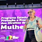 Uma mulher fala ao microfone em frente a um painel onde se l&ecirc; Programa Estadual de Prote&ccedil;&atilde;o e Promo&ccedil;&atilde;o dos Direitos das Mulheres.