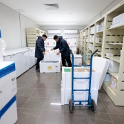 A imagem mostra um ambiente interno organizado, semelhante a uma sala de armazenamento refrigerado, com prateleiras met&aacute;licas claras nas laterais cheias de caixas e embalagens etiquetadas. No centro, duas pessoas manuseiam uma grande caixa t&eacute;rmica branca, enquanto ao redor h&aacute; v&aacute;rios cont&ecirc;ineres t&eacute;rmicos id&ecirc;nticos, alguns com lacres azuis e identifica&ccedil;&otilde;es impressas.