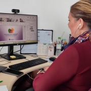 Foto mostra a secret&aacute;ria-adjunta Viviane Viegas falando em frente a um computador durante a videoconfer&ecirc;ncia.
