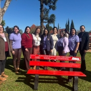 A fotografia em plano inteiro mostra um grupo de nove mulheres posando sorridentes, alinhadas lado a lado em uma pra&ccedil;a p&uacute;blica ao ar livre durante um dia ensolarado. Elas est&atilde;o posicionadas logo atr&aacute;s de um banco de pra&ccedil;a pintado de vermelho vivo.

O Banco de Destaque:

Em primeiro plano, centralizado na metade inferior da foto, h&aacute; um banco de madeira com estrutura de apoio preta e assento e encosto pintados de vermelho.

No topo do encosto do banco, uma faixa adesiva vermelha exibe mensagens de conscientiza&ccedil;&atilde;o em letras brancas, onde se l&ecirc; em destaque: "VIOL&Ecirc;NCIA CONTRA A MULHER N&Atilde;O &Eacute; NORMAL. &Eacute; CRIME. DENUNCIE!". Textos menores trazem canais de den&uacute;ncia, telefones &uacute;teis e frases de apoio.

As Integrantes: As nove mulheres vestem roupas variadas, incluindo casacos de inverno, blusas de gola alta e camisas polo de uniformes institucionais.

Tr&ecirc;s delas usam camisas polo lil&aacute;s (duas &agrave; esquerda e uma mais &agrave; direita).

As demais vestem casacos em tons de marrom, vermelho-escuro, branco e preto.

Elas est&atilde;o abra&ccedil;adas ou posicionadas muito pr&oacute;ximas, transmitindo um sentimento de uni&atilde;o e parceria. Algumas usam crach&aacute;s oficiais pendurados no pesco&ccedil;o.

O Ambiente:

O grupo est&aacute; sobre um gramado verde bem cuidado e iluminado pelo sol direto.

No canto esquerdo, em primeir&iacute;ssimo plano, aparece a lateral de uma grande rocha ou tronco de &aacute;rvore texturizado.

Ao fundo, a pra&ccedil;a conta com &aacute;rvores altas (incluindo uma arauc&aacute;ria centralizada atr&aacute;s do grupo), ciprestes finos e a estrutura de um parquinho infantil colorido (com escorregadores em azul, amarelo e laranja).

O c&eacute;u ao fundo est&aacute; completamente limpo e azul, indicando um dia de clima firme.

A imagem registra uma a&ccedil;&atilde;o comunit&aacute;ria e institucional de conscientiza&ccedil;&atilde;o e engajamento no combate &agrave; viol&ecirc;ncia contra a mulher.