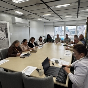 Esta &eacute; uma descri&ccedil;&atilde;o da imagem "Comiss&atilde;o Estadual define can&ccedil;&atilde;o-tema dos Festejos Farroupilhas 2026.jpg" para fins de acessibilidade:

A fotografia em plano geral mostra uma reuni&atilde;o de trabalho institucional acontecendo em uma sala de reuni&otilde;es corporativa de formato retangular.

A Mesa de Reuni&atilde;o: No centro da imagem, estende-se uma grande mesa retangular de cor bege clara, cercada por cadeiras estofadas de cor cinza-escura. Cerca de doze pessoas est&atilde;o acomodadas ao redor da mesa.

Os Participantes:

Em primeiro plano, no canto inferior direito, uma mulher de cabelos escuros presos em um rabo de cavalo e vestindo um casaco claro trabalha em um notebook preto aberto, utilizando um teclado num&eacute;rico auxiliar.

Ao longo do lado esquerdo da mesa, uma fileira de cinco mulheres est&aacute; sentada. A primeira delas, mais pr&oacute;xima &agrave; c&acirc;mera, usa &oacute;culos e casaco marrom enquanto faz anota&ccedil;&otilde;es em um papel. As demais aparecem concentradas, lendo documentos ou escrevendo.

Ao fundo e do lado direito da mesa, est&atilde;o sentados outros integrantes do grupo, incluindo homens e mulheres. Alguns conversam entre si e outros observam a reuni&atilde;o. Sobre a mesa, h&aacute; folhas com planilhas, canetas, smartphones e copos pl&aacute;sticos descart&aacute;veis.

O Ambiente:

A sala possui paredes de cor cinza-clara. Na parede da esquerda, h&aacute; um aparelho de ar-condicionado do tipo split desligado e um grande quadro decorativo com uma fotografia em preto e branco que retrata uma pessoa de perfil em um ambiente r&uacute;stico.

Ao fundo, grandes janelas de vidro com persianas integradas revelam uma vista panor&acirc;mica de uma &aacute;rea urbana com pr&eacute;dios e relevos sob um c&eacute;u nublado.

No canto superior direito, na cabeceira da mesa, est&atilde;o dispostas duas bandeiras oficiais em seus mastros, incluindo a bandeira do Estado do Rio Grande do Sul (com suas listras diagonais em verde, vermelho e amarelo).

O teto &eacute; composto por placas modulares com lumin&aacute;rias embutidas de luz branca, que iluminam todo o espa&ccedil;o de forma uniforme.

A imagem registra uma din&acirc;mica de planejamento e delibera&ccedil;&atilde;o coletiva em um ambiente administrativo governamental.