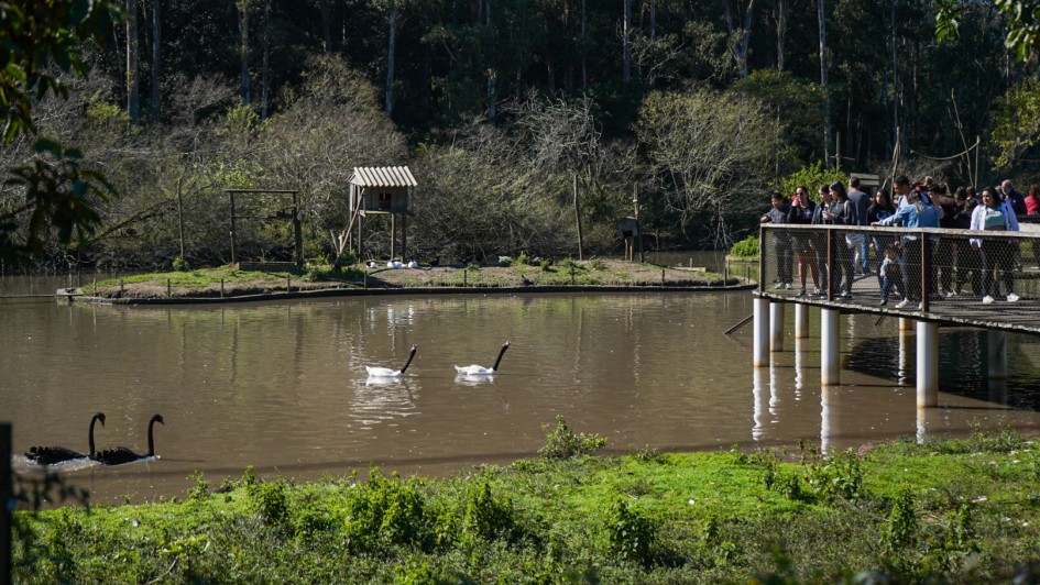 Foto mostra um lago com algumas aves e pessoas observado em um deck de madeira que est&aacute; erguido dentro d'&aacute;gua. Ao fudndo h&aacute; uma casinha e uma &aacute;rea de mata fechada. 