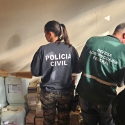 A fotografia em plano m&eacute;dio e &acirc;ngulo frontal registra uma a&ccedil;&atilde;o conjunta de fiscaliza&ccedil;&atilde;o e seguran&ccedil;a em um ambiente interno, identificada pelo t&iacute;tulo do arquivo como parte das a&ccedil;&otilde;es da Opera&ccedil;&atilde;o Pampa no combate a crimes rurais e transfronteiri&ccedil;os.

Agentes e A&ccedil;&atilde;o
Os Fiscais: Em primeiro plano, duas pessoas s&atilde;o vistas de costas enquanto examinam produtos armazenados.

Policial Civil: &Agrave; esquerda, uma mulher com o cabelo preso em um rabo de cavalo veste um moletom preto com a inscri&ccedil;&atilde;o "POL&Iacute;CIA CIVIL" em letras mai&uacute;sculas brancas nas costas. Ela usa cal&ccedil;a com estampa camuflada em tons de verde, marrom e preto.

Fiscal Federal: &Agrave; direita, um homem de cabelos curtos grisalhos veste um colete verde-escuro com uma faixa refletiva cinza horizontal. Nas costas do colete est&aacute; escrito, em letras mai&uacute;sculas brancas: "DEFESA AGROPECU&Aacute;RIA / FEDERAL".

Materiais e Ambiente
Produtos Apreendidos ou Fiscalizados: Diante dos agentes, h&aacute; uma pilha de insumos agr&iacute;colas. No lado esquerdo, observam-se diversos gal&otilde;es pl&aacute;sticos grandes e brancos empilhados (com r&oacute;tulos onde se l&ecirc; parcialmente a marca "MASTER"). No centro e ao fundo, h&aacute; caixas de papel&atilde;o empilhadas com inscri&ccedil;&otilde;es t&eacute;cnicas (onde se l&ecirc; "AGROPEC"). Um longo rolo de papel pardo est&aacute; apoiado horizontalmente sobre os gal&otilde;es.

Cen&aacute;rio e Ilumina&ccedil;&atilde;o: A a&ccedil;&atilde;o ocorre junto a uma parede lisa de tom claro (bege ou cinza-claro). Uma forte luz solar lateral e natural entra pelo lado direito, projetando feixes luminosos e sombras marcadas sobre a parede e as costas dos agentes. No canto inferior direito, v&ecirc;-se parte de uma mochila ou bolsa preta em primeiro plano.