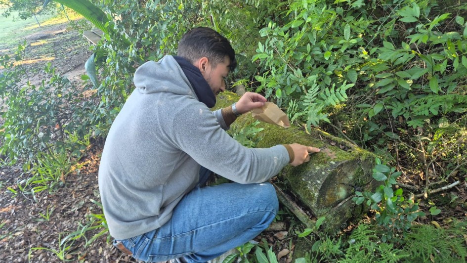 Foto mostra um ambiente de mata, toda verde. Um aluno est&aacute; agachado em dire&ccedil;&atilde;o a um tronco ca&iacute;do onde observa os musgos.