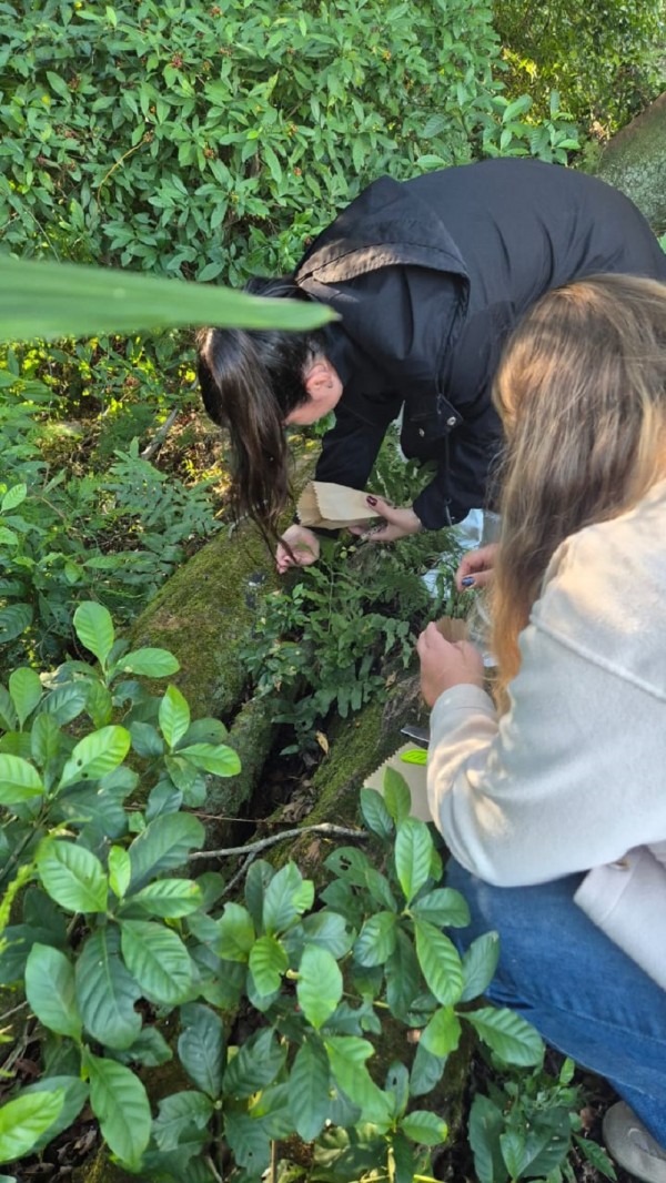 Foto mostra duas estudantes no meio de uma mata. Elas estão abaixadas coletando plantas para pesquisa. 