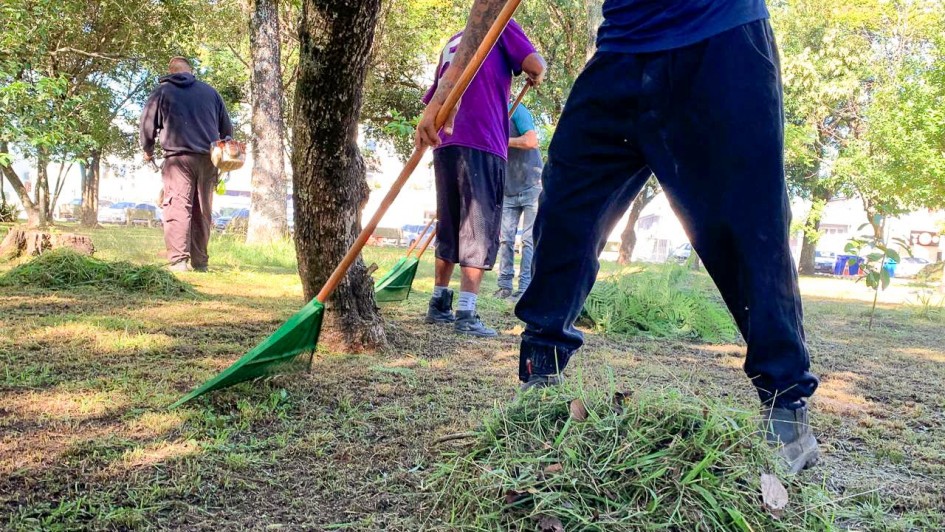 Cena externa em &aacute;rea verde com &aacute;rvores e sombra parcial, onde v&aacute;rias pessoas utilizam rastelos para juntar grama cortada em montes sobre o solo.