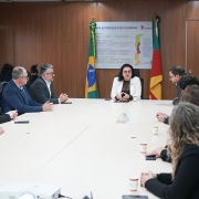 Sala de reuni&atilde;o com mesa longa e participantes sentados em ambos os lados, acompanhando a fala de uma pessoa posicionada na cabeceira; ao fundo, h&aacute; bandeiras do Brasil e do Rio Grande do Sul e um painel com o t&iacute;tulo &ldquo;Mapa Estrat&eacute;gico do Governo&rdquo;.