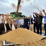 Abertura da colheita do trigo &eacute; realizada em Cruz Alta e destaca for&ccedil;a da triticultura ga&uacute;cha   out26